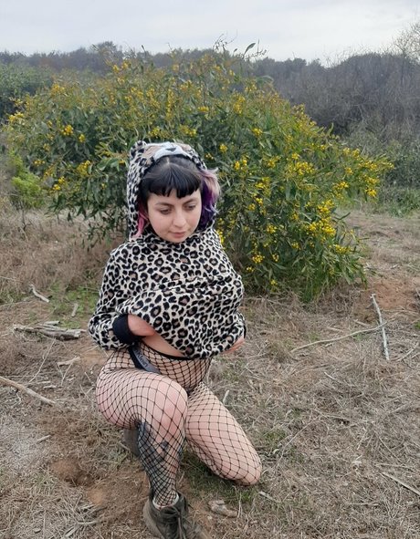 gatitajavilun model schöne foto