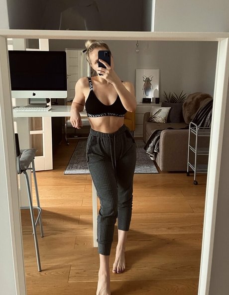 freeparrot hd kostenlose fotos