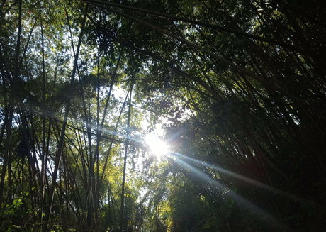 blowjob schlampig onlyfans kunst heiße fotos