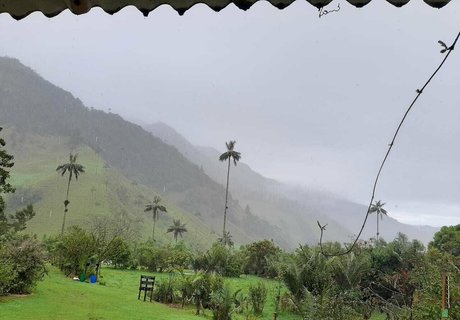 milf-tanga onlyfans kostenlose sex galerie