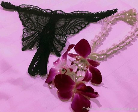 riesenschwanz shemale onlyfans exklusive nackt foto