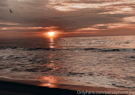 schwarze lehrer-onlyfans nackt perfekte fotos