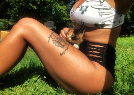 hotwife-onlyfans perfekte erwachsene bild