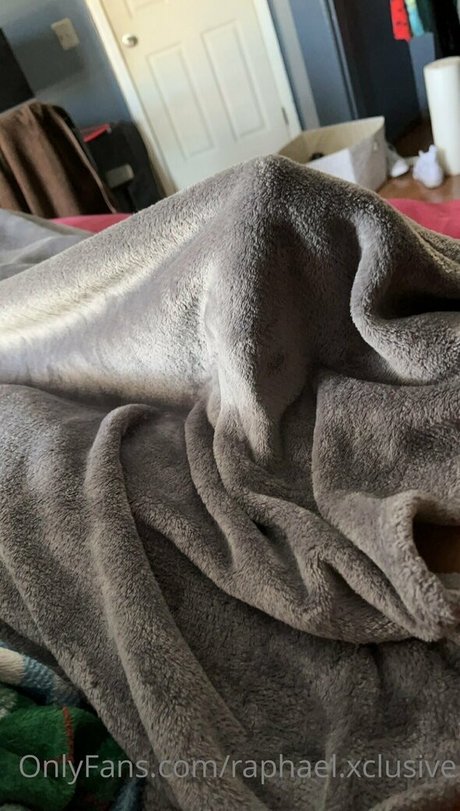 nocapraph porno sexy bild