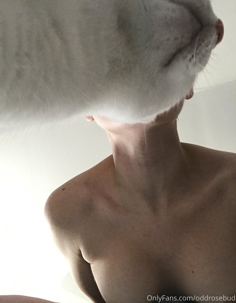 vollbusige brünette onlyfans erotische heiße galerien