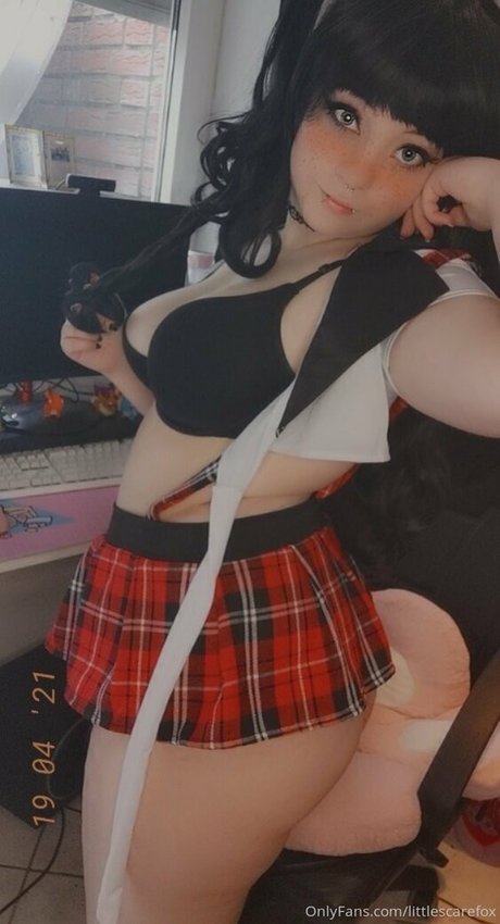 littlescarefox kunst akt bild