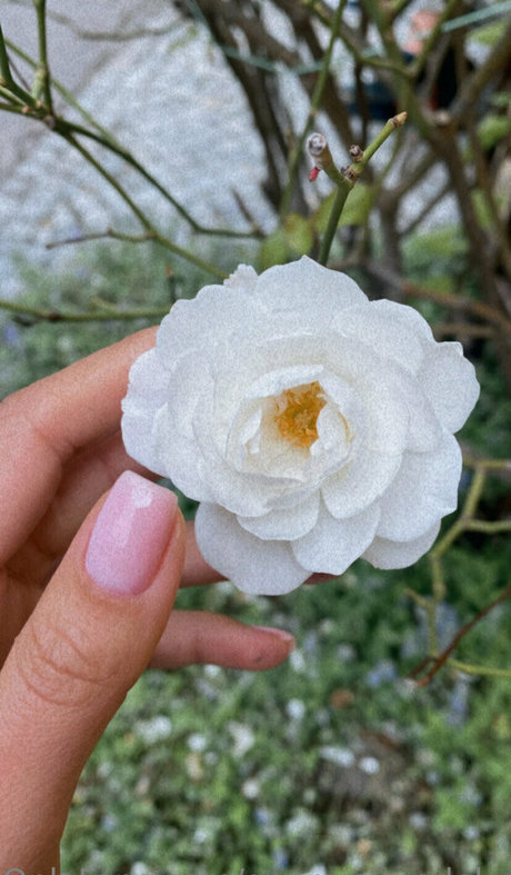 asiatische tattoo-onlyfans kostenlose bild