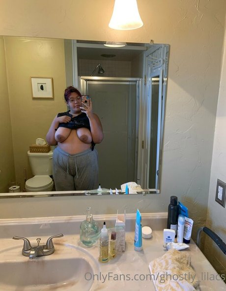 ghostly lilacs kostenlose perfekte fotos