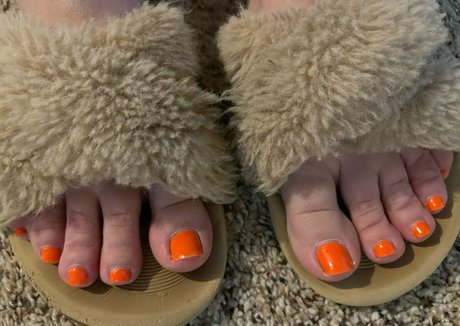 schwarzer hahnrei nur fans kostenlose hd fotos