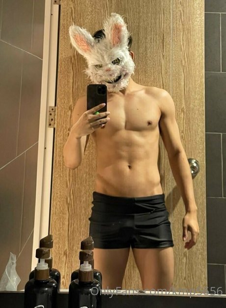 kmp5656 exklusive freie galerien