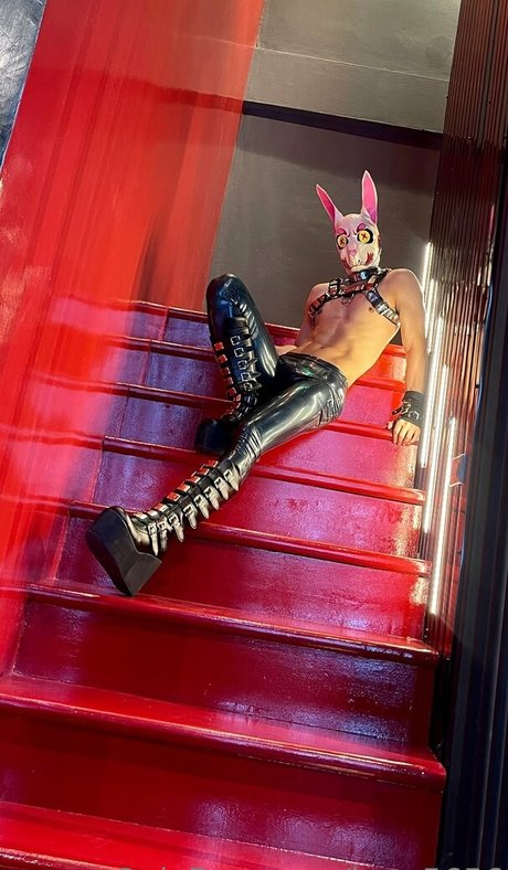 kmp5656 pornostar top archiv