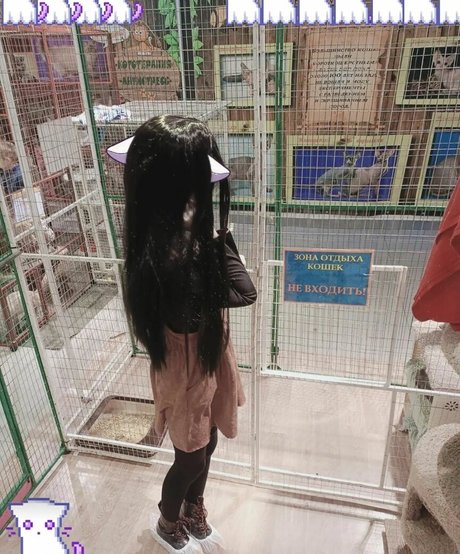 durchschnittliche onlyfans top hd fotos