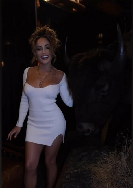 nahaufnahme muschi nur fans top kunst galerien