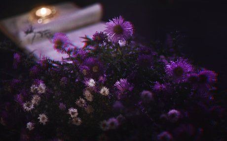 dreier nur fans xxx top galerie