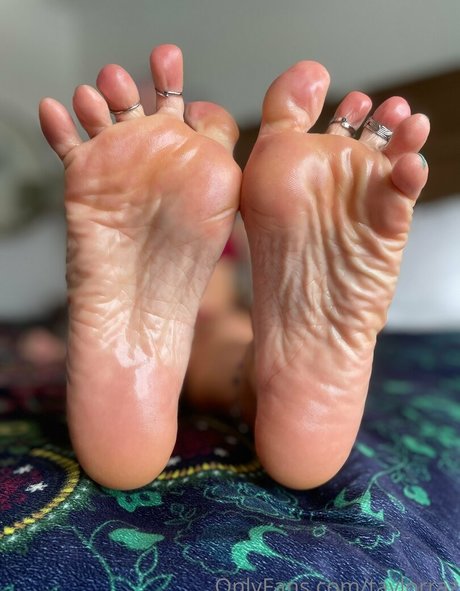 dicke trans-onlyfans top hd archiv