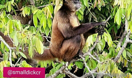 roni lyn41 exklusive foto