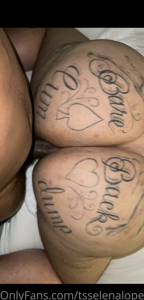 kleiner schwanz shemale onlyfans xxx freie bild