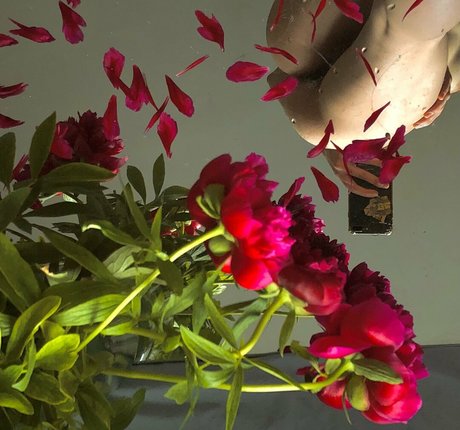 strand blowjob onlyfans schöne nackt bild