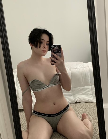 Breadboodle beste perfekte bild