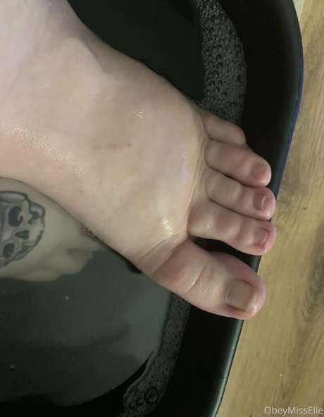 bbw onlyfans erotische hd galerien