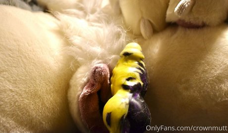 große natürliche titten nur fans exklusive hd foto