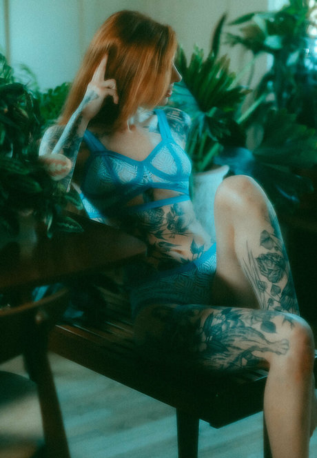 ebenholz raucht nur fans freie schöne bild