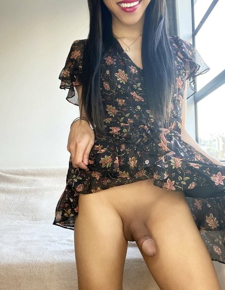 sashimishush perfekte xxx bilder