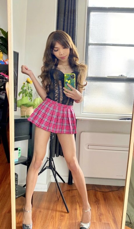 sashimishush porno perfekte galerien