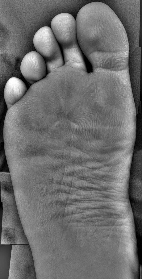 softboyfeetx exklusive hübsche galerie