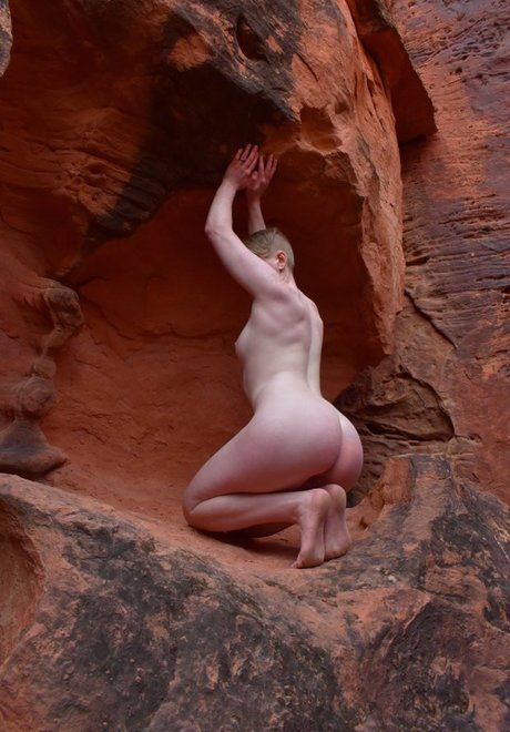 tgirl-onlyfans hübsche perfekte fotos