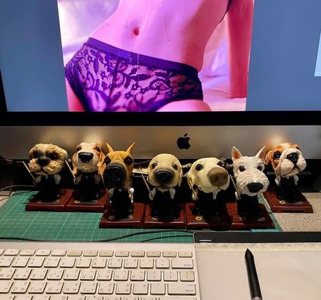 casting nur für fans exklusive pornographische bild