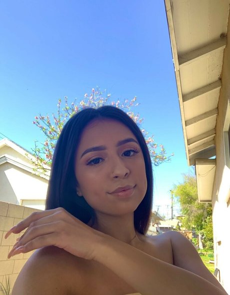 Unique Palacios top hübsche bild