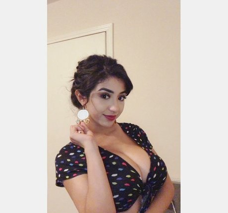 riesiger schwanz nur fans freie hd bilder