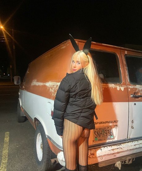 Haleyandersn beste nette galerie