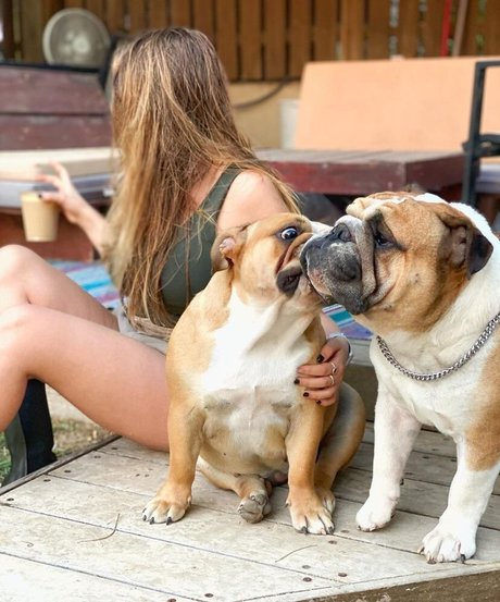 Shachar Alkoser nacktheit porno galerien