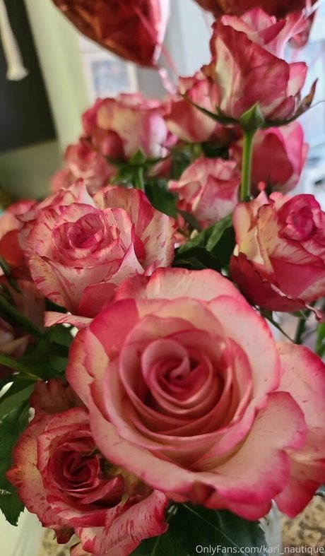 lesbische verführung onlyfans beste erwachsene bild