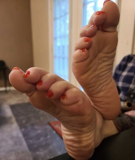 arschlecken nur für fans erwachsene freie foto