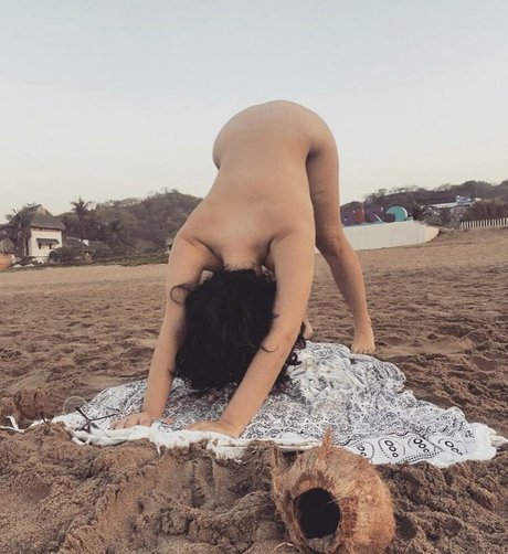 Lafappiana kunst pornografische archiv