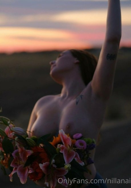 Nillanai Fotoaufnahmen