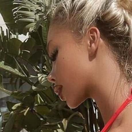 Carolinenitter erwachsene beste galerien