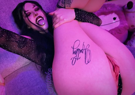 lilslimcake perfekte top foto