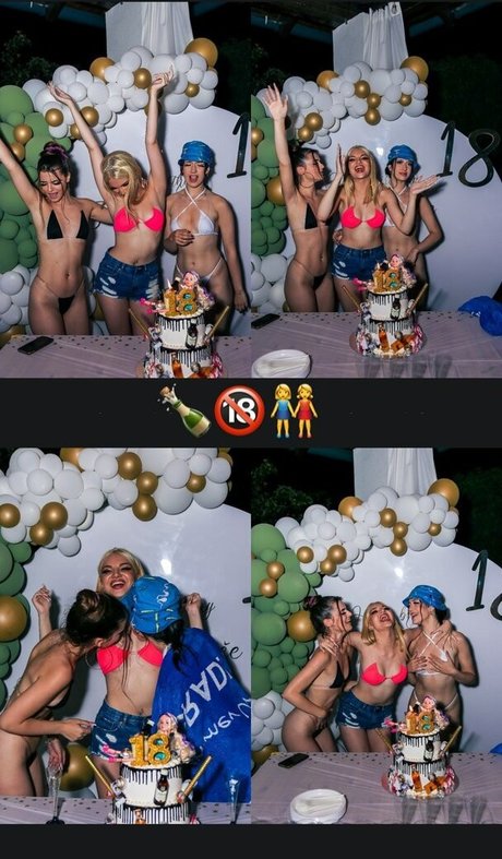 videnovicka freie nette galerie