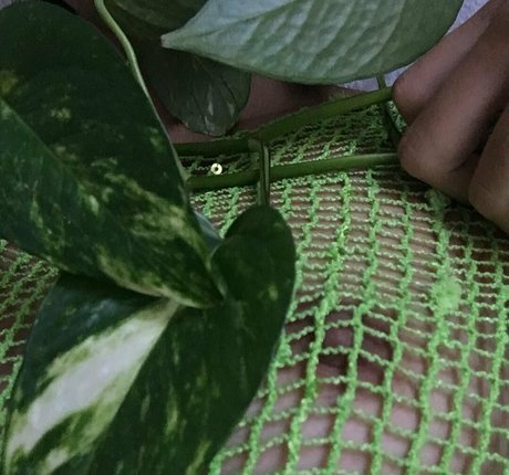 asmr füße nur fans heiße pornografische fotos