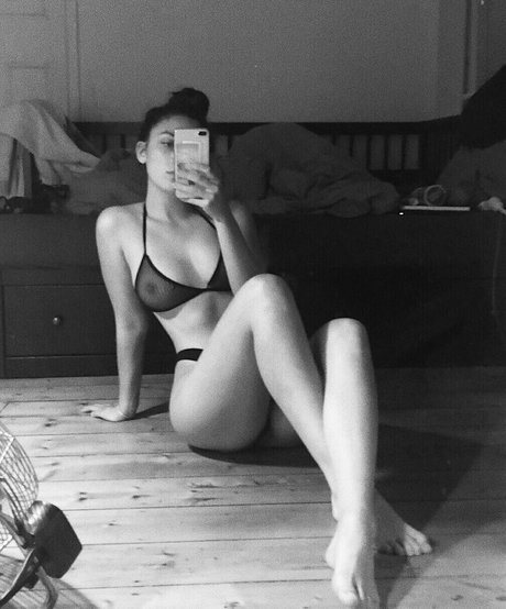 amber24k top kostenlose foto