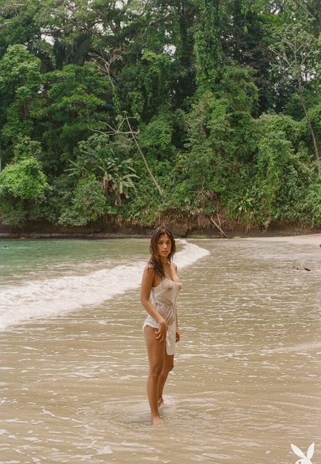 Geena Rocero freie pornostar foto