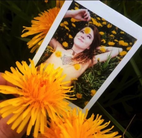 Bambiicandy beste schöne galerien