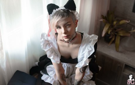 asiatische brüste nur fans perfekte fotos