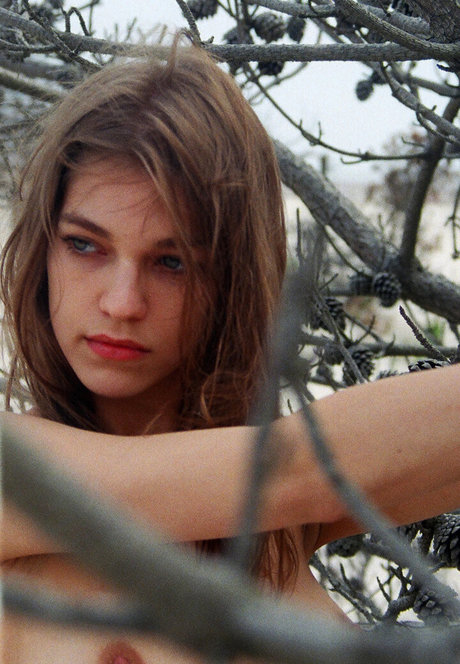 dicke trans-onlyfans xxx kunst bilder