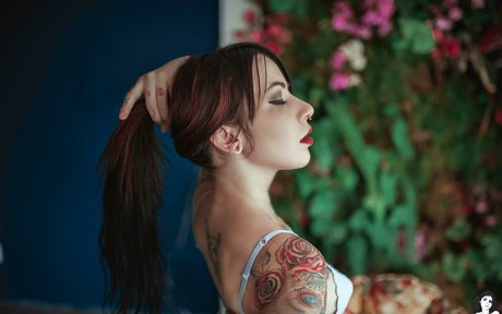 dicke solo-onlyfans perfekte erotische galerie