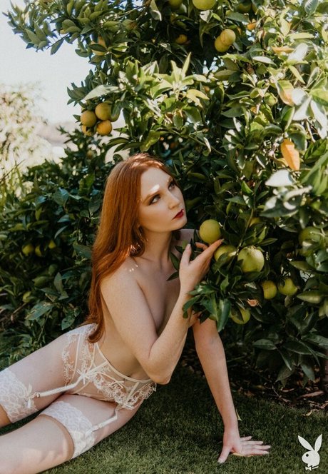 Jessica Lynette Brooks Profilfoto